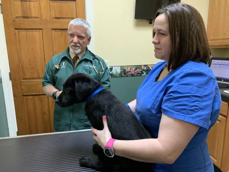 Foothills Veterinary Clinic, Tennessee, Dawsonville